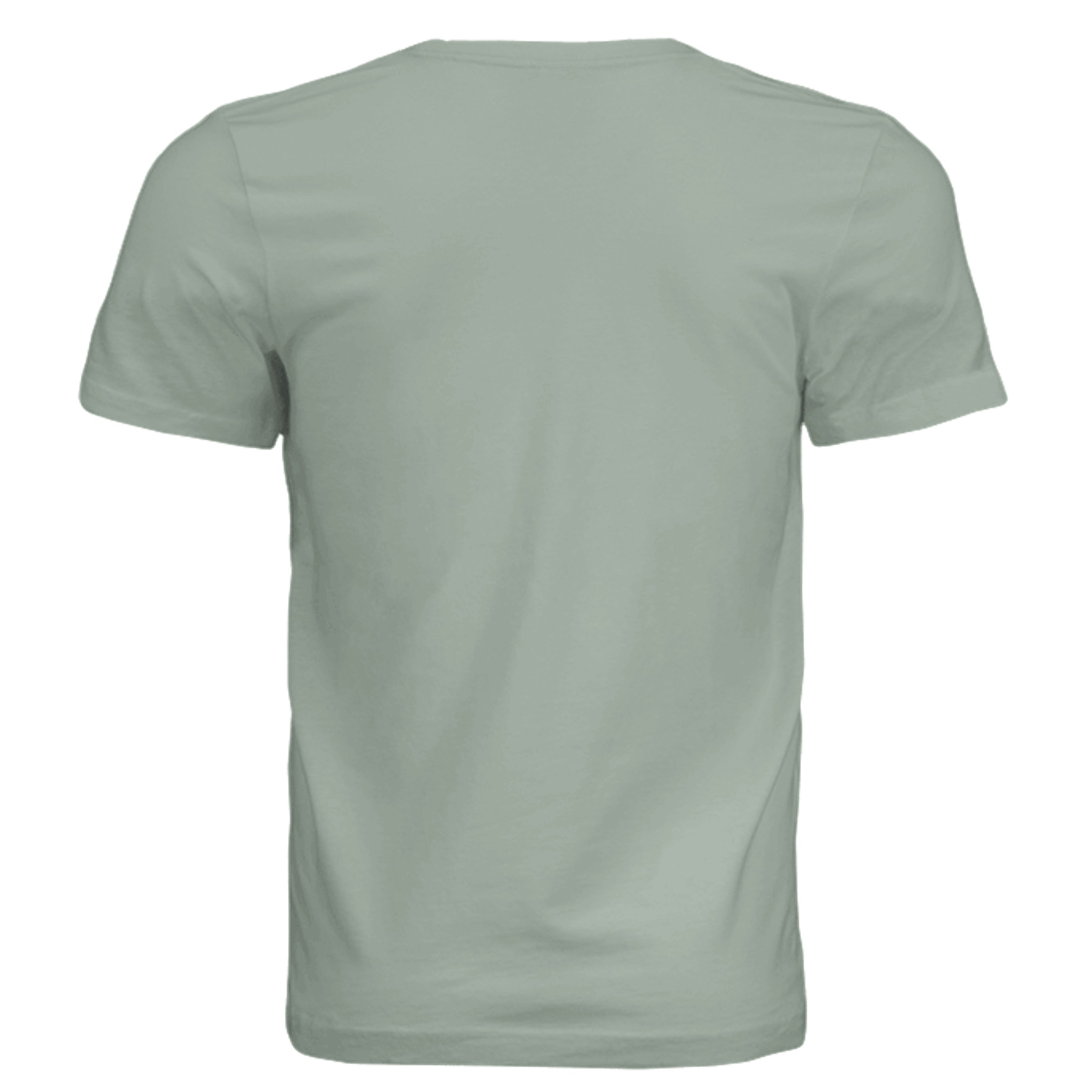Dusty Blue - 3001C - BACK